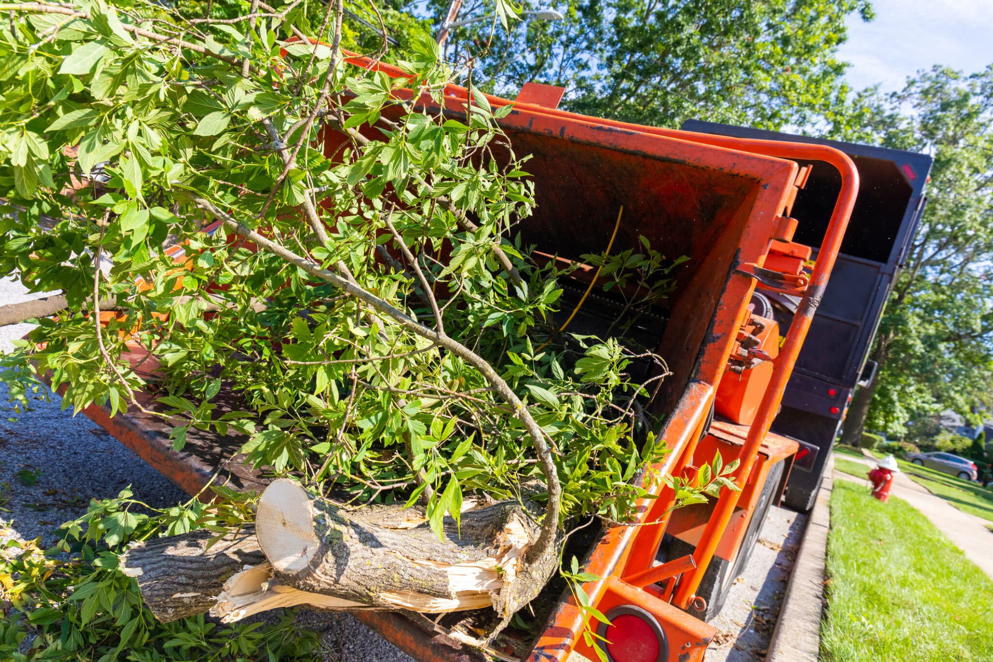 Tree being fed into wood chipper