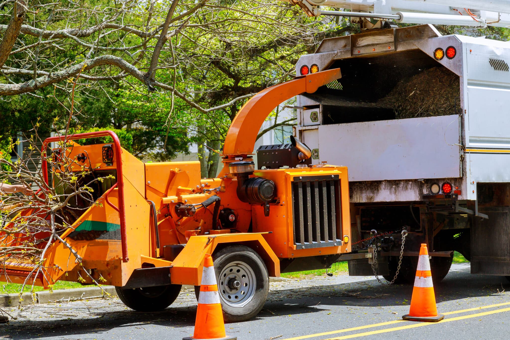 Wood chipper loaded cut green tree branches in urban neighborhood