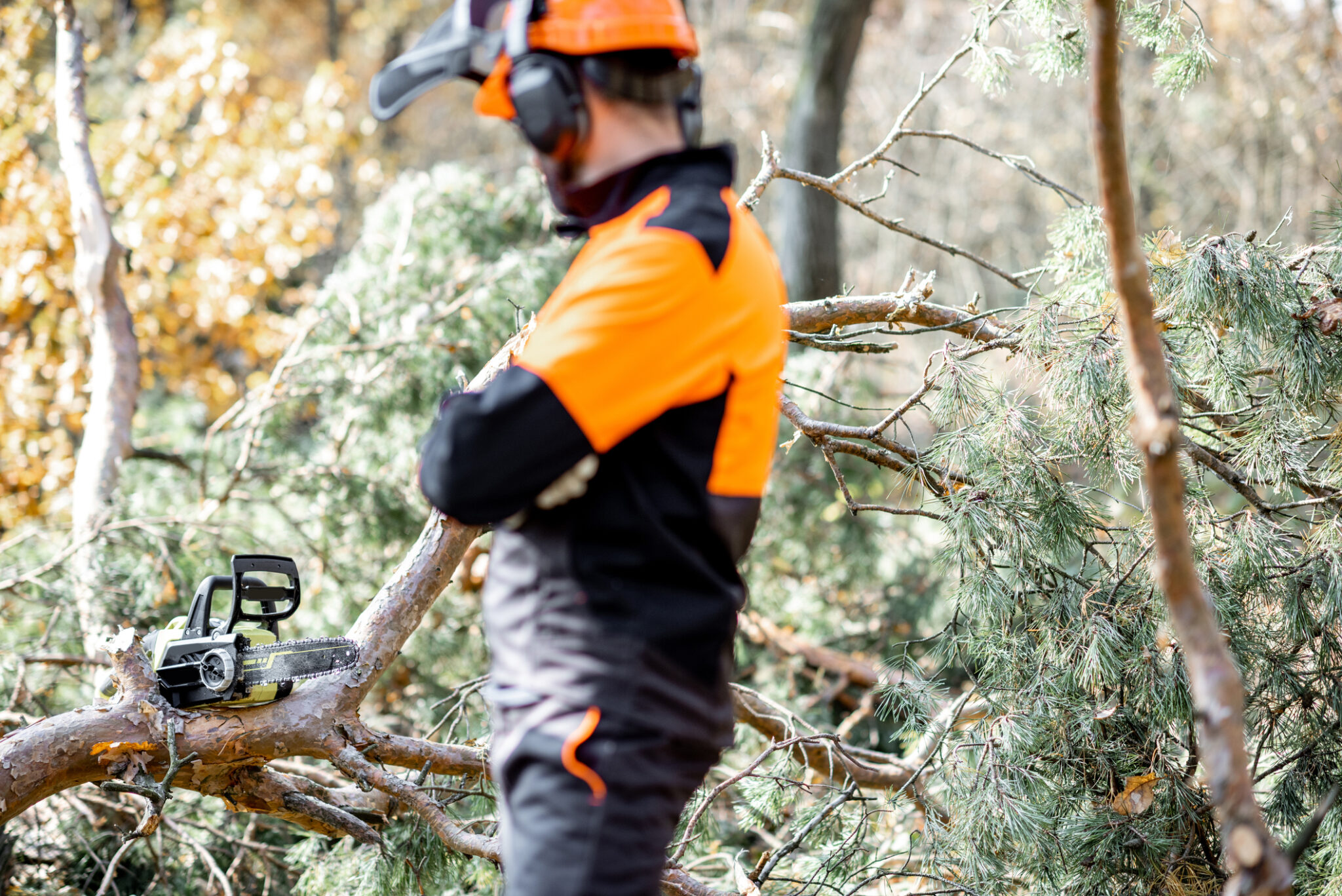 Professional lumberman with chainsaw in the forest